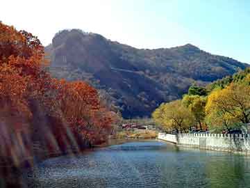 新澳天天开奖资料大全旅游团，一张诡异的美女图片